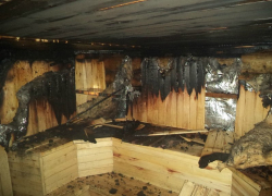 В Таганроге на выходных сгорела баня