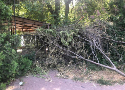 2 недели прошло с момента урагана, а в Таганроге всё валяются деревья