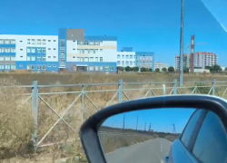 Трава по пояс, все заросло: таганрожцы не знают, как вести детей в 39 школу в День знаний