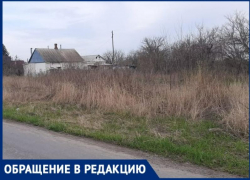 Житель ЖК «Андреевский» Таганрога с ужасом ждёт весны и лета