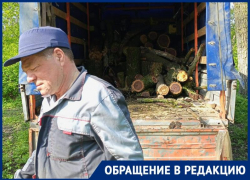  «Не губите мужики, не рубите», - таганрожцев взволновала вырубка деревьев