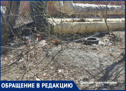 «Ощущение, что свалка с Николаевского шоссе переместилась к станции переливания крови» - таганрожец о беспорядке в городе