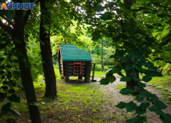 Таганрог: прогноз погоды на рабочую неделю с 26 по 30 июня