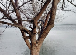 Как Таганрог справился с ураганом