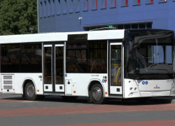 В Греческие Роты пустят дополнительный маршрут №911 