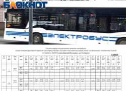 «Оно липовое!» - таганрожцы отзываются о новом расписании электробусов