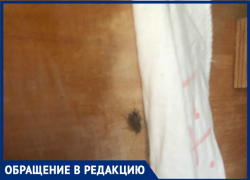 В таганрогском детском саду каждое утро начинается со встречи с тараканами