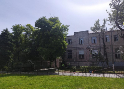 Таганрожца смутило кронирование "под ноль"