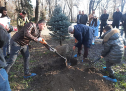 Связь поколений: «СТК-Таганрог» подарили парку культуры им. Горького новые деревья