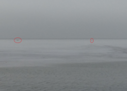 Таганрожцев взволновали несколько человек, мечущихся по льдине в окружении воды