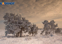 Емельян Зимний зовёт: народные приметы для таганрожцев 21 января 
