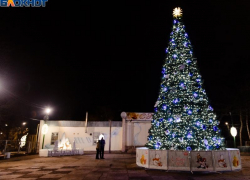 23 декабря в Таганроге пройдёт открытие городской ёлки
