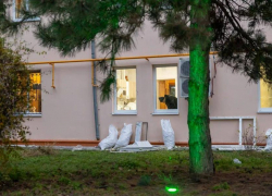 Таганрожцам, пострадавших от атак дронов, обещают выплатить компенсации до Нового года