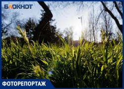 Цвета весны: Таганрог в объективе фотоаппарата