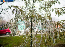Зима уже близко: таганрожцы уже этой ночью смогут ощутить первые заморозки