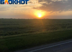 Власти Ростовской области временно изъяли земли на границе с ДНР 