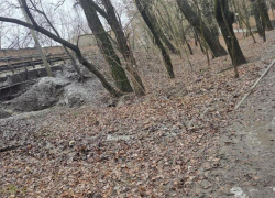 Неприглядные виды таганрогских «Дубков» показали читатели «Блокнота»