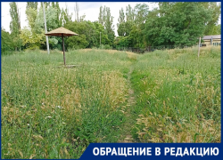 "Власти, за что вы так не любите военных пенсионеров?": в Военном городке творится безобразие 