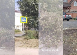 Минус 70 помоек: таганрогские коммунальщики вывезли более 1200 м³ мусора