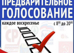  "Блокнот" запускает предварительное голосование перед выборами в Госдуму     