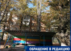 В Таганроге старые тополя угрожают жизни детей