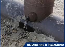 Змеи и грязные потоки из коммуникаций замечены на пляже, где власти разрешили купаться