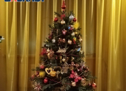 Всероссийская акция «Ёлка желаний» помогает исполнять мечты юных таганрожцев