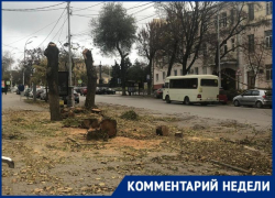 Клены у библиотеки появятся весной – запомним обещание администрации Таганрога