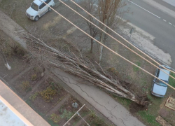 Таганрожцы, по возможности, оставайтесь дома