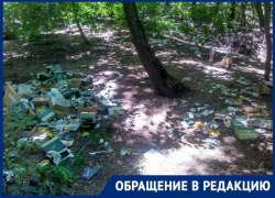 Организаторы форума «Армия 2019» под Таганрогом не позаботились о вывозе мусора