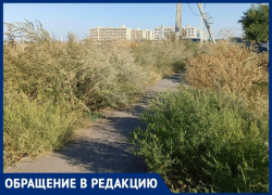 Сквозь терни к знаниям: дорога к школе на Галицкого напоминает полосу препятствий 