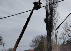 Анонсированная в конце прошлого месяца стрижка деревьев в Таганроге продолжается
