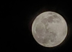 Таганрожцы увидят главное суперлуние года: когда смотреть на «Бобровую Луну»