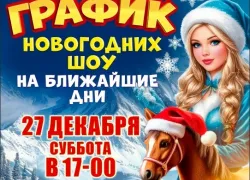 Свидание с чудом: куда пойти с ребёнком, чтобы запомнилось надолго