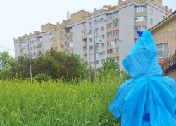 "С мачете ходить скоро будем": экстремальный путь к детскому саду снова показали таганрожцы