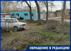 Кто здесь хозяин – таганрожцы ищут владельца бесхозной территории