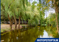 Сказочный парк в гуще леса есть в Неклиновском районе