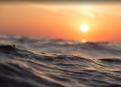 Таганрогский залив рассматривают как место добычи электроэнергии - интересный способ