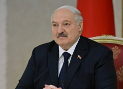 Ждать ли в Таганроге белорусские автобусы? О чём договорились губернатор Слюсарь и президент Лукашенко