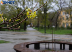 20 марта — день Павла Капельника: почему сегодня нельзя грустить, а нужно мириться и чинить сломанное