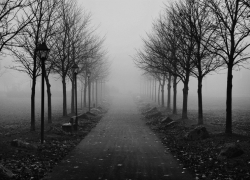 Последняя неделя осени удивит таганрожцев виражами погоды