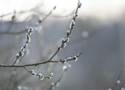 На выходных в городе потеплеет