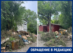  «Денег нет, но вы любуйтесь»: «Благоустройство» Таганрога полгода не может убрать стихийную свалку 