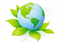 В Ростовской области стартовал экологический конкурс для учащихся