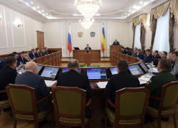 Донской губернатор призвал активнее подключать к охране общественного порядка дружинников и казачьи патрули