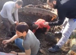 Таганрожцев приглашают на субботник в сад Руссо