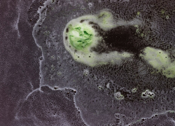 Прокуратура Ростовской области направила информацию губернатору области 