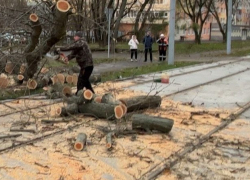 Городские службы Таганрога устраняют последствия непогоды