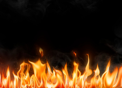 В Таганроге — весенние пожары: горело 8 свалок, 3 квартиры и один пустырь 