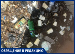 Куча стаканчиков «Булочной компании» сброшены у реки Большая Черепаха